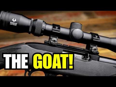 6 Reasons The Ruger 10/22 Became America’s Favorite .22 Rifle