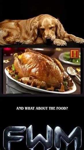 Aliens invented Thanksgiving