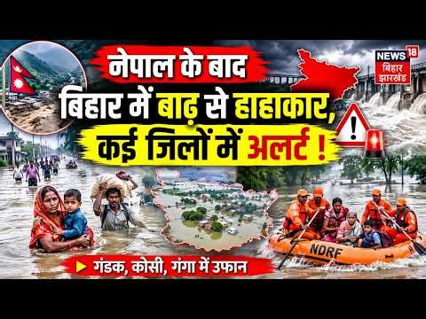 Bihar Flood High Alert Update : नेपाल के बाद बिहार में बाढ़ से हाहाकार | Breaking News | Top | Top