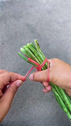 Proper stringing technique for supporting long bean plants