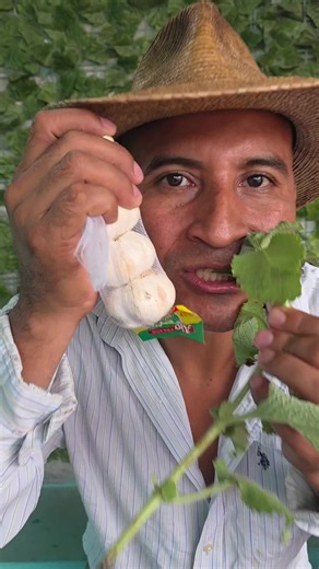 #remediosdelcampo #bacteria #parasitos #salud #videotiktokviral. | how do you get rid of parasites