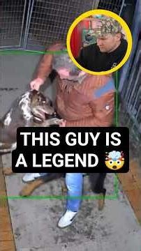 Breaking up a dog fight alone is extremely difficult and dangerous. This takes real skill.