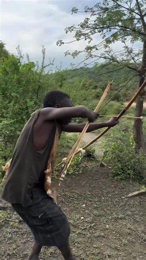 🏹 Hunter Saves Cow from Wolf Attack with Precise Arrow! 🐺🐄#short #africa #viral #animals #wildlife