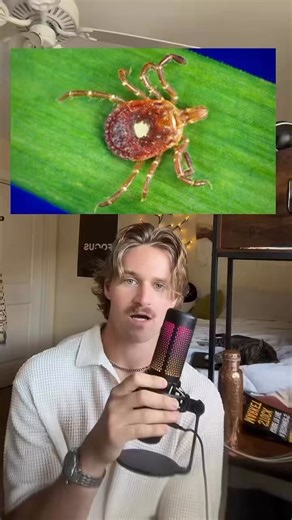 This all comes after.-The WEF says they plan on 5 billion less people will be on the planet by 2030.-Pfizer is releasing a lyme desease vaccine in 2027-The USARMY made lyme desease ticks on plum Island-The WEF says their goal is through bioengineering humans can’t eat red meat.-Bill gates purchases the majority of farm land in the United states-Stores and restaurants across America are now selling clone and lab grown meat that are “FDA approved”