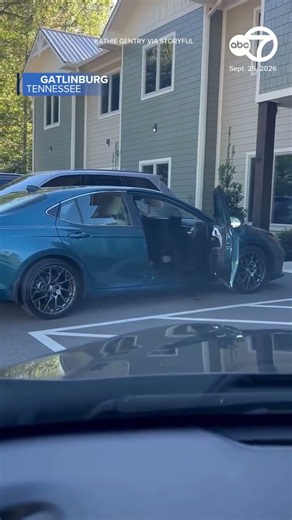 Bear family piles into car in Tennessee