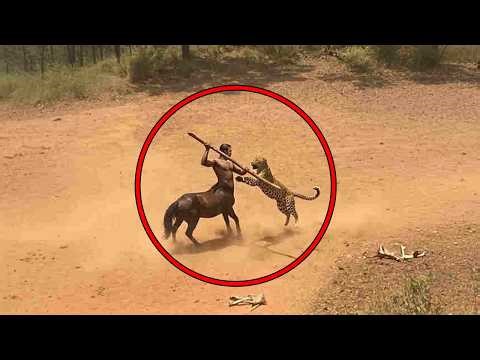 Most Unbelievable Creatures Spotted In The Woods!!