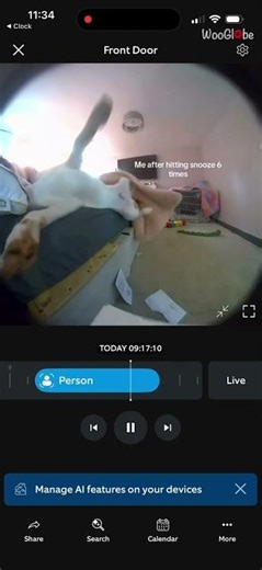 Animal Bloopers: Dog Rolls Off Bed in Hilarious Fall || WooGlobe