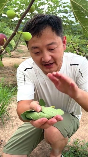Hidden Inside This Leaf Is a Perfect Fig! 🤤🌿 #shorts