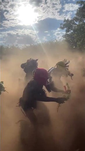 Gule wamkulu traditional dance from Malawi 🇲🇼 #traditionaldance #africa #dance