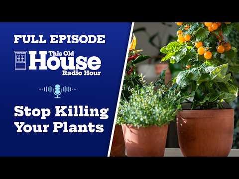 Stop Killing Your Plants + Carl Radke’s Story of Home + Flooring Mistakes to Avoid