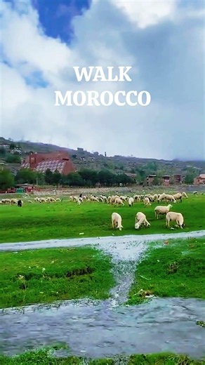 Morocco Travel Guide Walk the Real Morocco 🇲🇦 #visitmorocco #moroccotravel #morocco #europe #short