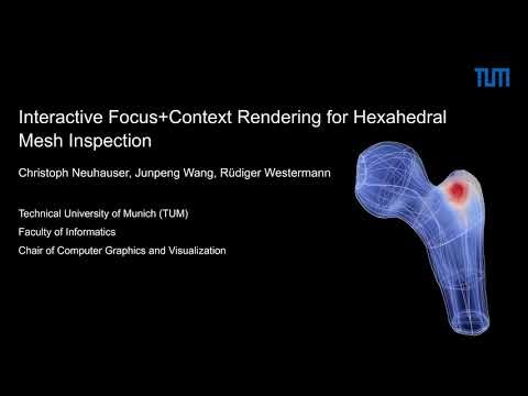 Interactive Focus+Context Rendering for Hexahedral Mesh Inspection (short)