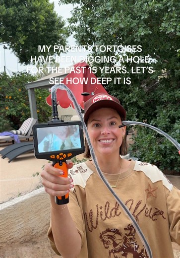 Exploring a 15-Year-Old Tortoise Digging Project