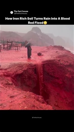 Why This Rain Turns Rivers Red 😳