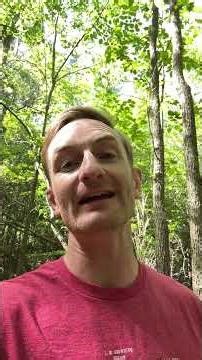 The A-10 Warthog is sticking around until 2030 now...