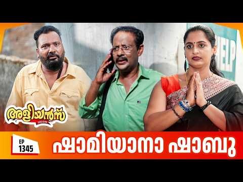 Aliyans - 1345 | ഷാമിയാനാ ഷാബു | Latest Episode | Malayalam Comedy | Sitcom