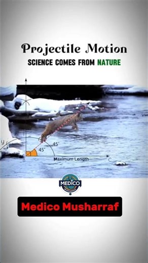 Projectile Motion In Practical#viral #shorts #physics #practical