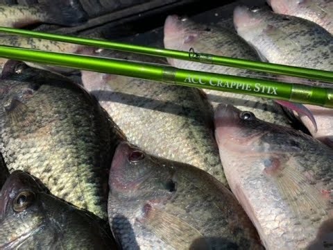 1/4/26| I'M BACK! CRAPPIE FISHING TALK WITH 903 FISHING!!