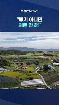 "투기 아니면 처분 안 해"‥정부 '농심 달래기' #Shorts (MBC뉴스)