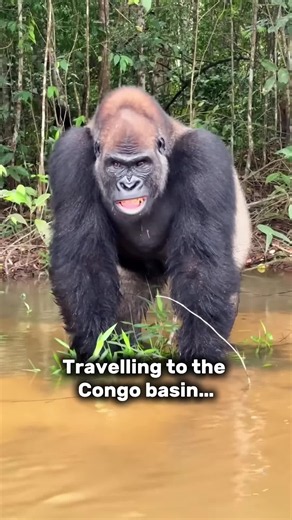 We are on route to Nola where we will begin kayaking, few delays but bear with us…