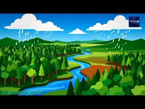If All Forests Disappeared Overnight? | World's End | Viral Science Animation