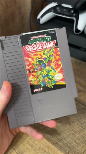 Best Turtles Game On NES?