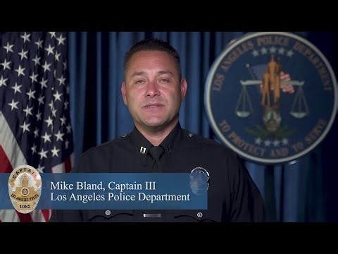 Los Angeles police chase ends in deadly crash, 1 arrested