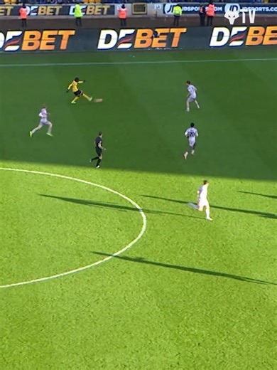 Wolves Defeat Shrewsbury: Tolu Arokodare Shines