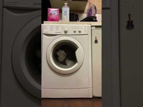 washing machine video's for Relaxation to help with stress , anxiety and to send your BABY TO SLEEP