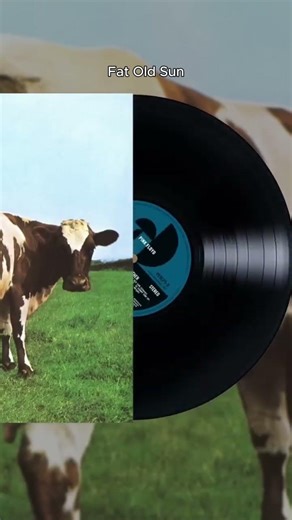 When the first rays of sun hit your face in the morning.....