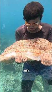 La pêche la plus rentable de ma vie 😱😱 #fishing #nature #ocean
