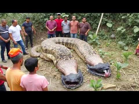 Disturbing Stories From Inside the Chernobyl Exclusion Zone