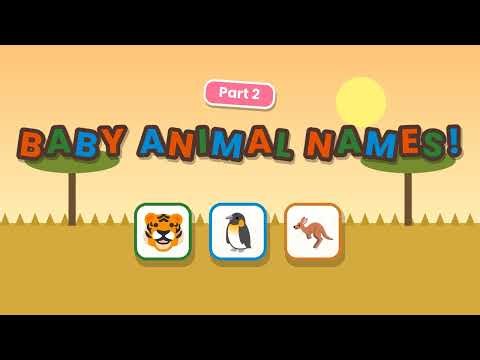 Wild Animals for Kids 🦁🐧🦘 | Animal Habitats & Baby Animal Names | Animal Quiz | Honey Bees TV