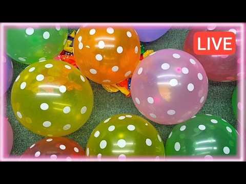 LIVE 🎈 Satisfying Balloon Pop Challenge | Inflating & Popping Colorful Polka Dot Balloons