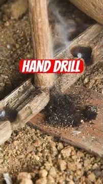 Friction Fire Fail & Success