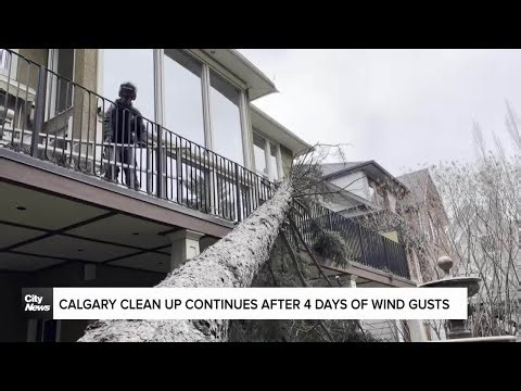 Calgary clean up continues after 4 days of wind gusts