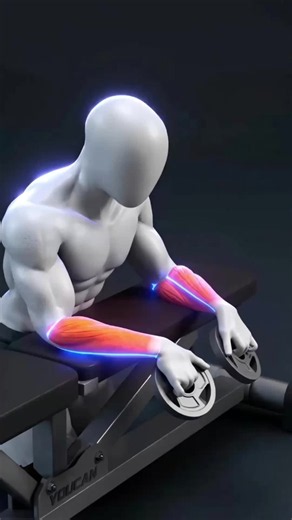 🔥 The Forearm Workout Most People Never Do Most people train biceps and triceps but ignore their forearms. Strong forearms improve grip strength, wrist control, lifting performance, and give your arms a thicker, more powerful look. Train with slow, controlled reps and never rush the movement. 💪 • Train: 2–3x per week • Rest: 45–60 sec Forearms are the detail that completes your arms. Save this and come back stronger. 💪