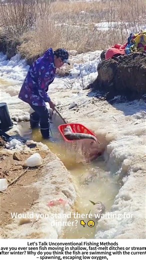 Ditch Fishing After Ice Melt – Catching Fish with a Shovel 🧊🐠