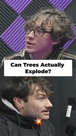 Exploding Trees: Real or Fake? You Won't Believe It! #shorts