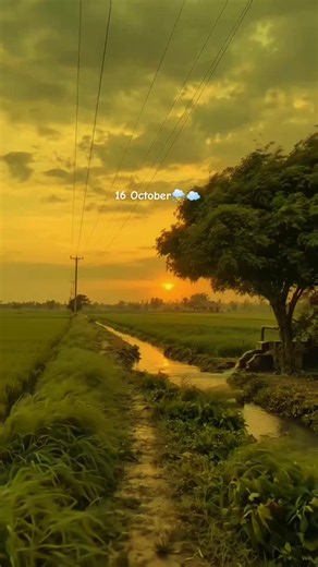 16 October Rain and Clouds — Weather Clips & Calm Songs