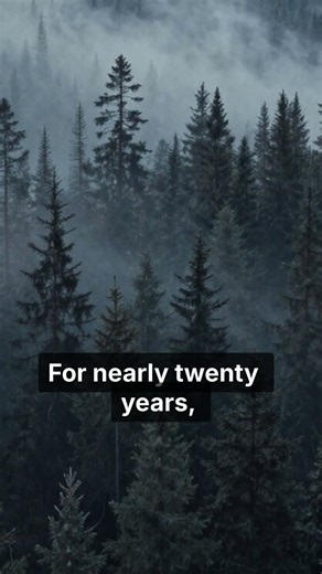 The Explosion That Flattened 2,000 km² of Siberia