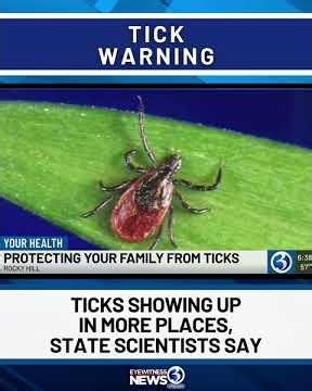Tick warning