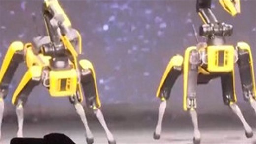 Hyundai and Boston Dynamics showed off robot dogs that danced to K-pop at the Consumer Electronics Show in Las Vegas. | WUSA 9