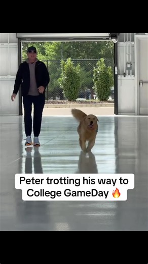 Kirk and Peter on the way to @College GameDay! 👏 (via @Kirk Herbstreit) #espnsocial #football