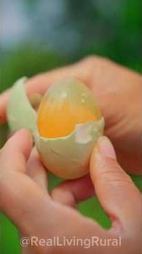 30 दिनो में अपने आप Ferment होकर तैयार होता है ये चमत्कारी अंडा 🪺🥚 || #minivlog