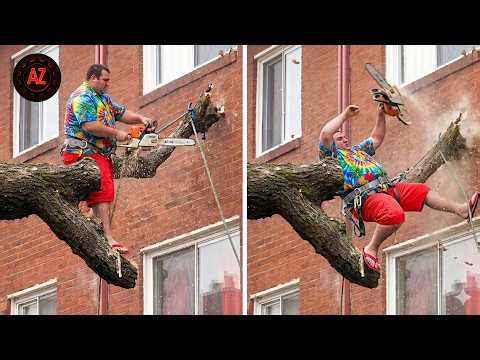 Idiots With Chainsaws: Tree Cutting Fails | Extreme Dangerous Logging Truck Fails #35