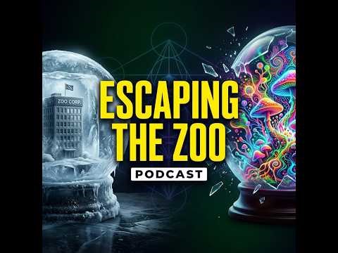 Podcast: The Archaic Revival, Entropic Brain Theory & Alienation | Wonder Fungi