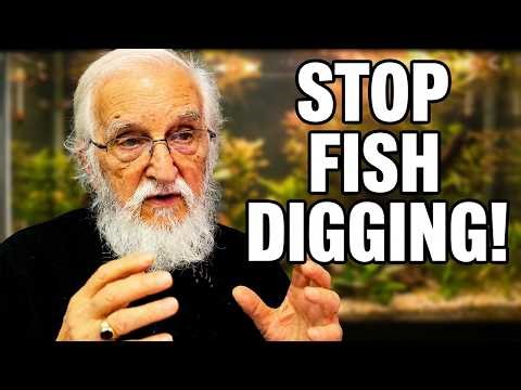 STOP Fish Digging #fishdigging,