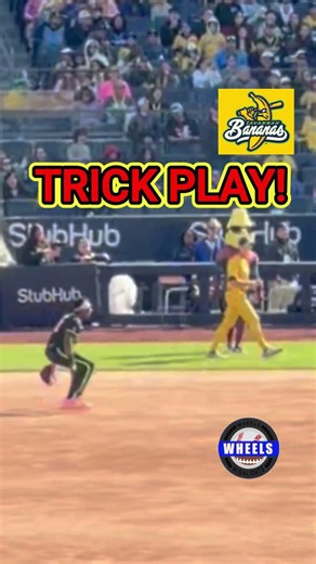 RUSSELL WILSON BATS FOR THE SAVANNAH BANANAS! #shorts #baseball #football #savannahbananas #yankees