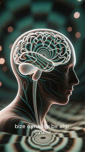 Bilime Meydan Okuyan Yer Oregon Vortex ABD